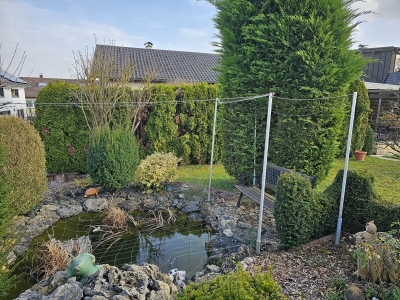 310 - Gartenteich