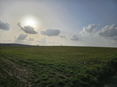 495 - direkt am Feldrand