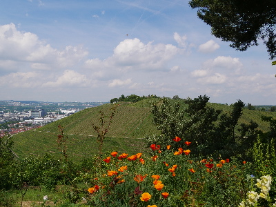 Blick zum Kesselberg- M