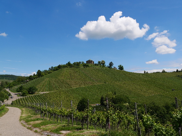 der Wrttemberg- L