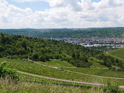 eingebettet in diesen Hang- M