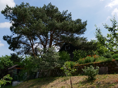 terrassierte Hanglage- M